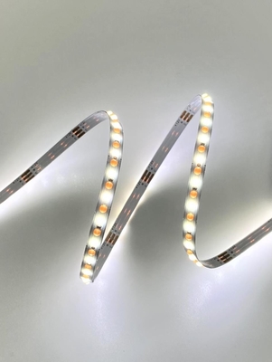 CATの適用範囲が広い点の穂軸CCT LEDのストリップ動的白いDC 24V
